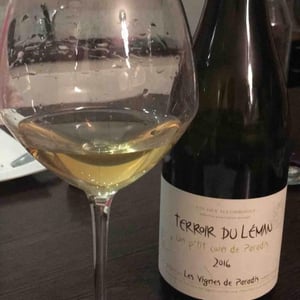 Un P'tit Coin de Paradis - Les Vignes de Paradis - dominique-lucas