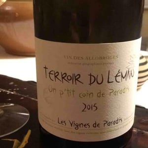 Un P'tit Coin de Paradis - Les Vignes de Paradis - dominique-lucas