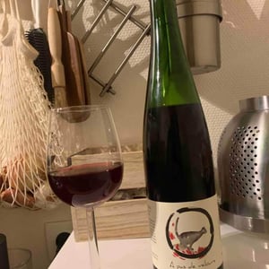 A Pas de Velours - Lindenlaub - christophe-lindenlaub