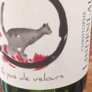A Pas de Velours - Lindenlaub - christophe-lindenlaub