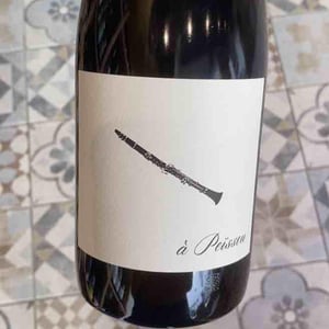 À Peissou - Domaine des Amiel - Aymeric & Jordan Amiel 