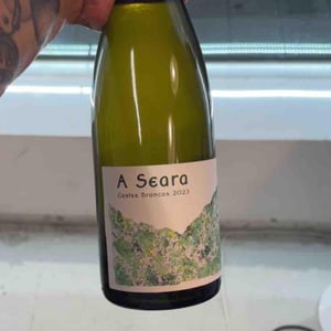 A Seara Castes Brancas - Iria Otero Mazoy - Iria Otero Mazoy -2020