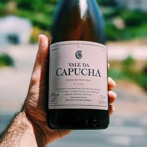 Arinto - Vale da Capucha - pedro-marques