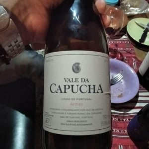 Arinto - Vale da Capucha - Pedro Marques 