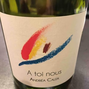 Andrea Calek - Andrea Calek et Stephana Nicolescu - A Toi Nous