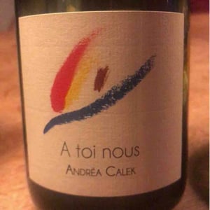 A Toi Nous 20 - Andrea Calek - Andrea Calek et Stephana Nicolescu