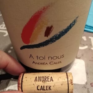 A Toi Nous - Andrea Calek - andrea-calek-et-stephana-nicolescu