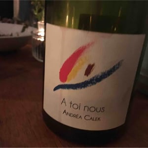 A Toi Nous - Andrea Calek - andrea-calek-et-stephana-nicolescu