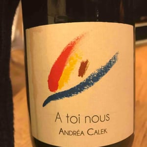 Andrea Calek - Andrea Calek et Stephana Nicolescu - A Toi Nous