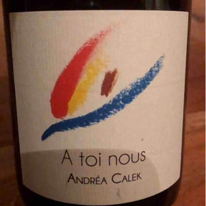A Toi Nous - Andrea Calek - andrea-calek-et-stephana-nicolescu