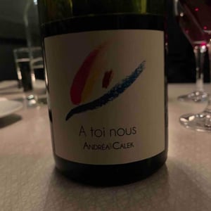 A Toi Nous - Andrea Calek - andrea-calek-et-stephana-nicolescu