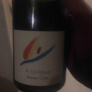 A Toi Nous - Andrea Calek - andrea-calek-et-stephana-nicolescu