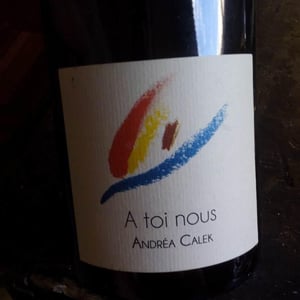 Andrea Calek - Andrea Calek et Stephana Nicolescu - A Toi Nous