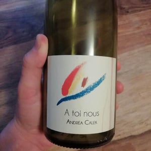A Toi Nous - Andrea Calek - andrea-calek-et-stephana-nicolescu