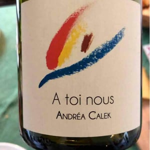 A Toi Nous - Andrea Calek - andrea-calek-et-stephana-nicolescu