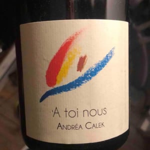 Andrea Calek - Andrea Calek et Stephana Nicolescu - A Toi Nous