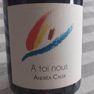 A Toi Nous - Andrea Calek - andrea-calek-et-stephana-nicolescu