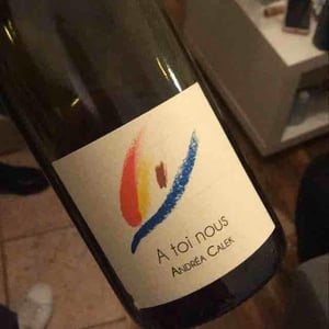 A Toi Nous - Andrea Calek - andrea-calek-et-stephana-nicolescu