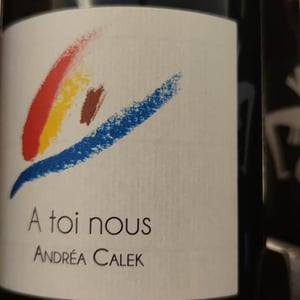 A Toi Nous - Andrea Calek - andrea-calek-et-stephana-nicolescu