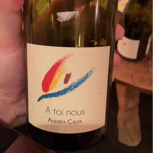 A Toi Nous - Andrea Calek - andrea-calek-et-stephana-nicolescu