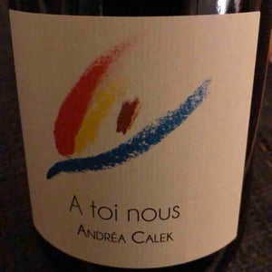 Andrea Calek - Andrea Calek et Stephana Nicolescu - A Toi Nous