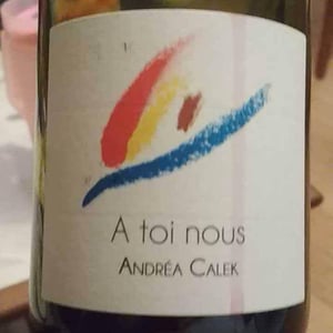 Andrea Calek - Andrea Calek et Stephana Nicolescu - A Toi Nous