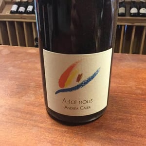 A Toi Nous - Andrea Calek - andrea-calek-et-stephana-nicolescu
