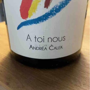 Andrea Calek - Andrea Calek et Stephana Nicolescu - A Toi Nous