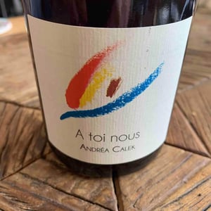 A Toi Nous - Andrea Calek - andrea-calek-et-stephana-nicolescu