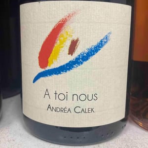 A Toi Nous - Andrea Calek - andrea-calek-et-stephana-nicolescu