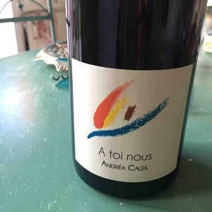 A Toi Nous - Andrea Calek - andrea-calek-et-stephana-nicolescu
