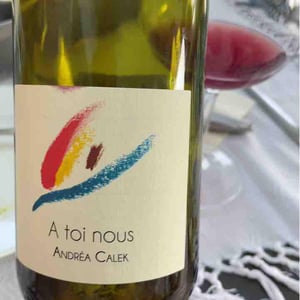 Andrea Calek - Andrea Calek et Stephana Nicolescu - A Toi Nous