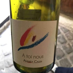 Andrea Calek - Andrea Calek et Stephana Nicolescu - A Toi Nous