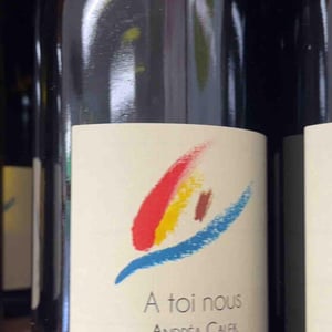 A Toi Nous - Andrea Calek - andrea-calek-et-stephana-nicolescu