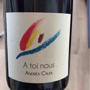 Andrea Calek - Andrea Calek et Stephana Nicolescu - A Toi Nous