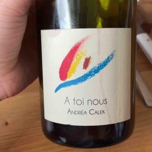 A Toi Nous - Andrea Calek - andrea-calek-et-stephana-nicolescu