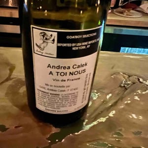 Andrea Calek - Andrea Calek et Stephana Nicolescu - A Toi Nous