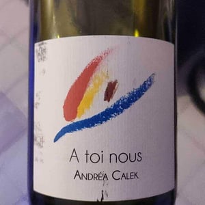 Andrea Calek - Andrea Calek et Stephana Nicolescu - A Toi Nous II