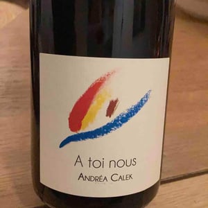 Andrea Calek - Andrea Calek et Stephana Nicolescu - A Toi Nous II