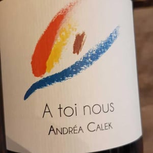 A Toi Nous II - Andrea Calek - andrea-calek-et-stephana-nicolescu