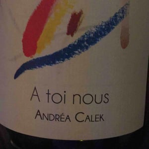 Andrea Calek - Andrea Calek et Stephana Nicolescu - A Toi Nous II