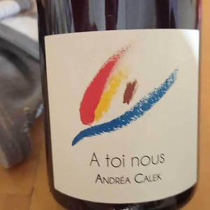 Andrea Calek - Andrea Calek et Stephana Nicolescu - A Toi Nous II