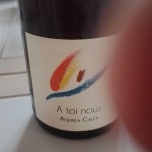 A Toi Nous II - Andrea Calek - Andrea Calek et Stephana Nicolescu 