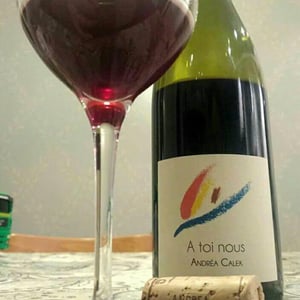 Andrea Calek - Andrea Calek et Stephana Nicolescu - A Toi Nous II