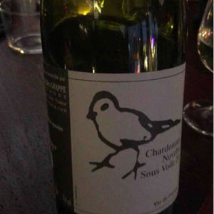 Les Oiseaux De Passage - Didier Grappe - Didier et Jules Grappe 