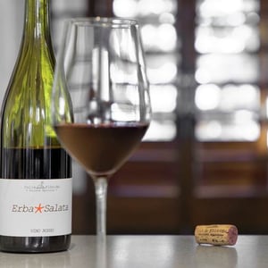 Erba Salata - Abruzzo - Daniela Trolio & Andrea Ugolotti -2019