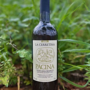 La Cerretina - Azienda Agricola Pācina - giovanna-tiezzi-stefano-borsa-maria-borsa-carlo-borsa-roberto-maccari-elisa