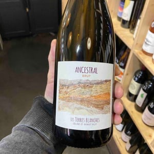 Ancestral Blanc - Les Terres Blanches - celine-benoit-blet -2022