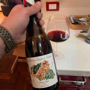 Pinot Noir 20 - Maison Stéphane Saillet - Stéphane Saillet