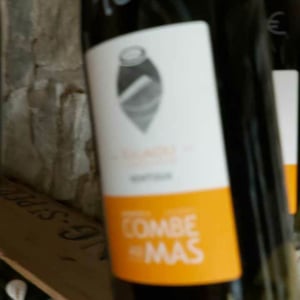 Roumille - La Combe au Mas - marie-sophie-jullien-thomas-ayoun